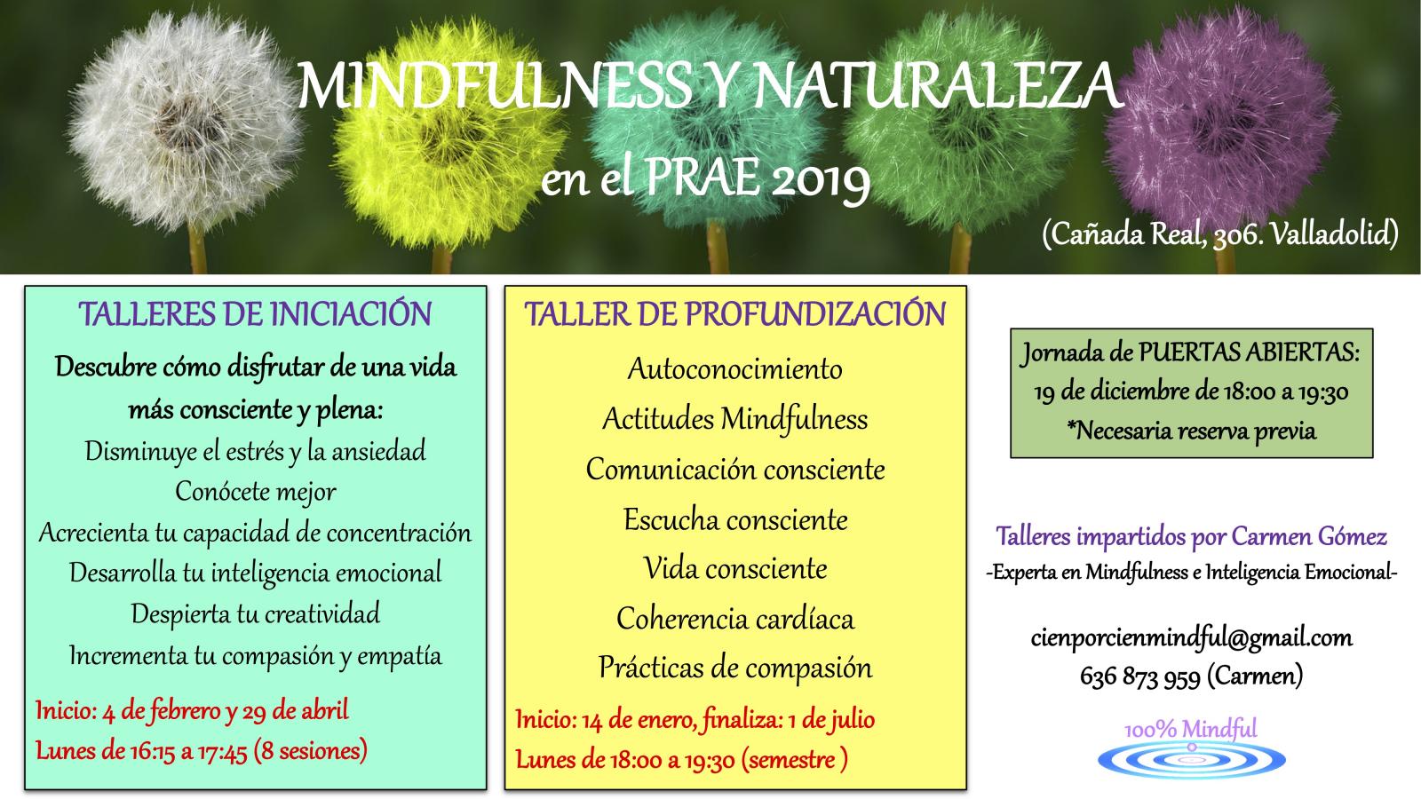 Taller Mindfulness para adultos 2019